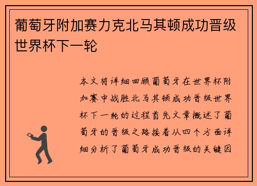 葡萄牙附加赛力克北马其顿成功晋级世界杯下一轮